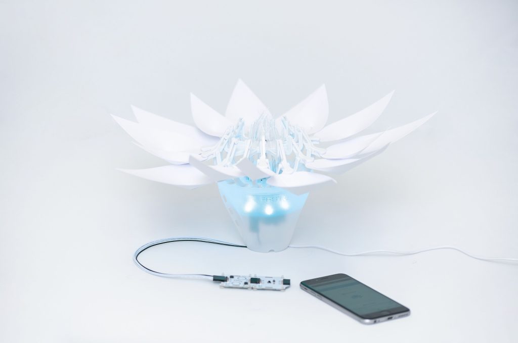 Bionic Flower
